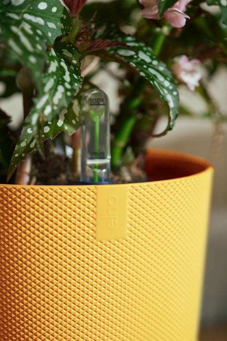 jazz rond 26cm amber geel